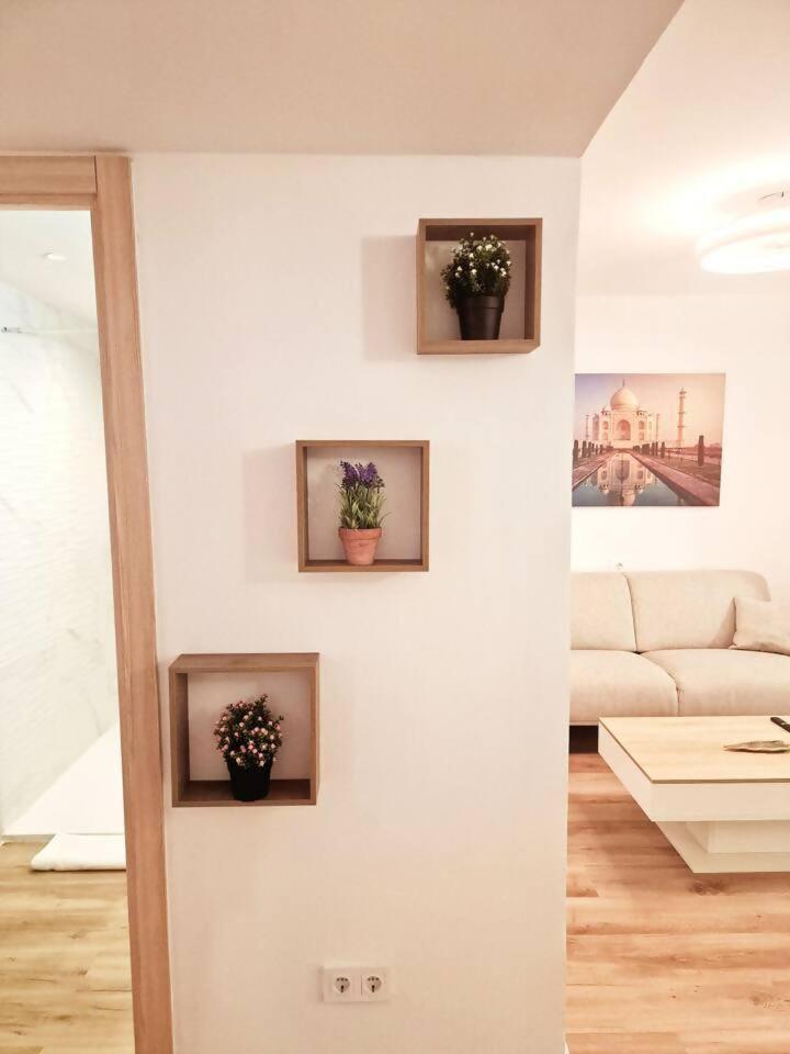 Apartamento Ave ヴィーゴ エクステリア 写真